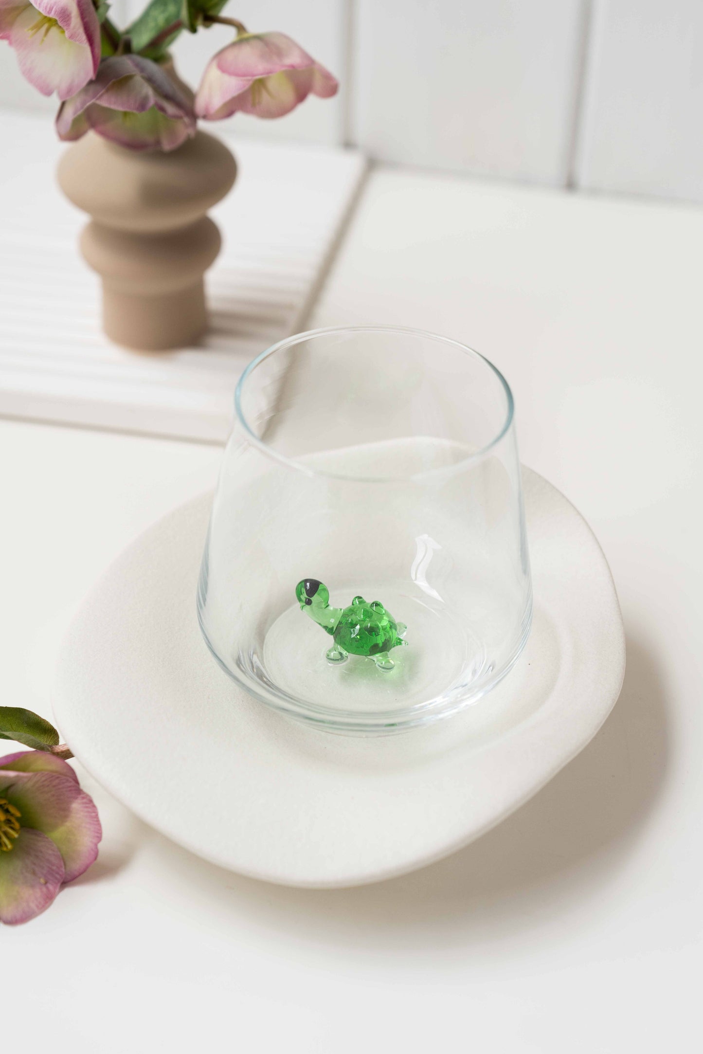Turtle Glass