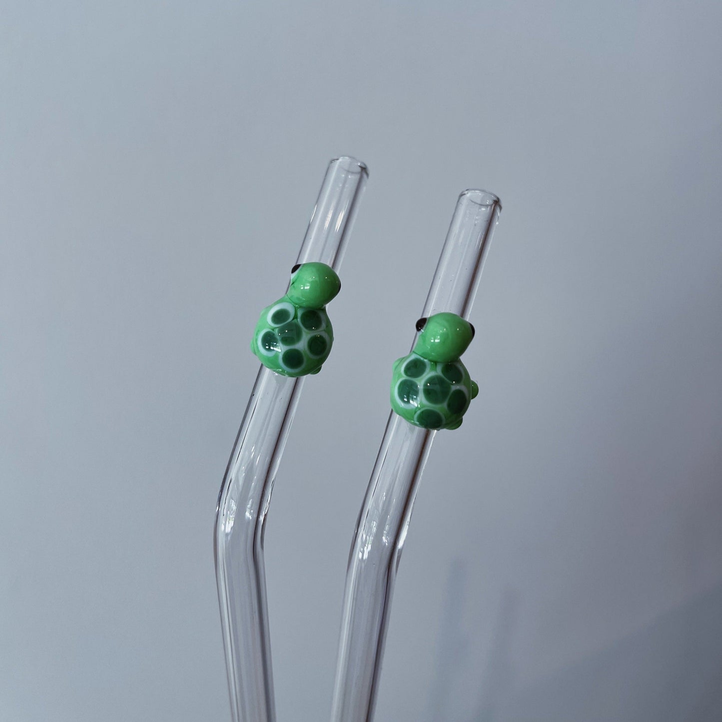 Turtle Straw