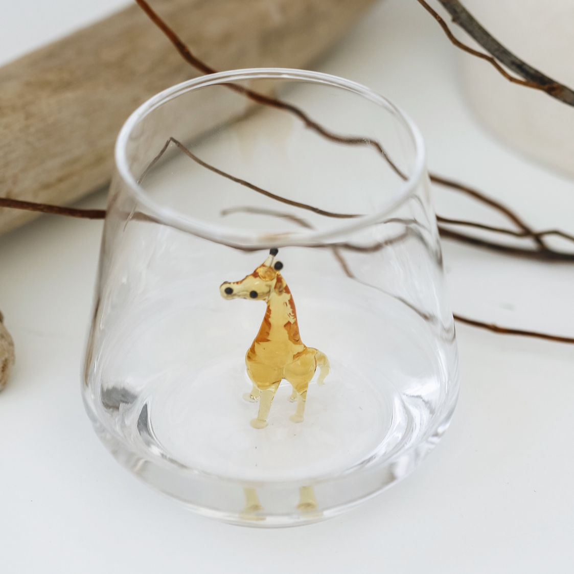 Safari Set of 6